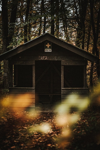 Foto uitzicht op een verlaten gebouw in het bos