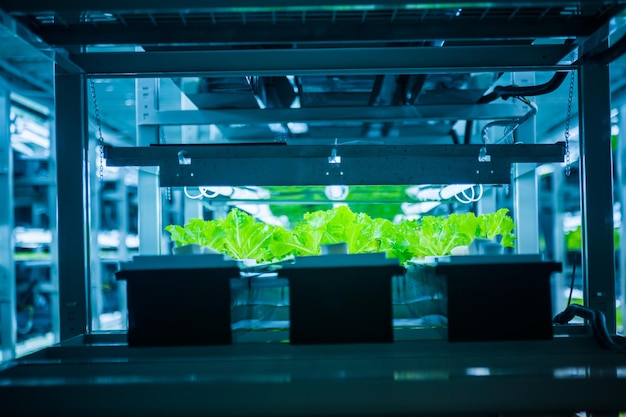 Uitzicht op een verlichte elektrische lamp