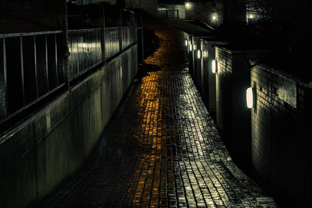 Uitzicht op een verlichte steeg's nachts