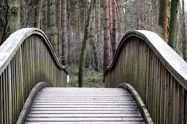 Foto uitzicht op een voetgangersbrug in het bos