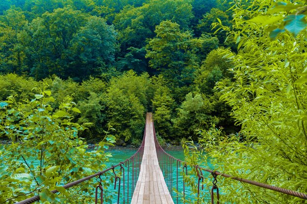 Uitzicht op een voetgangersbrug in het bos