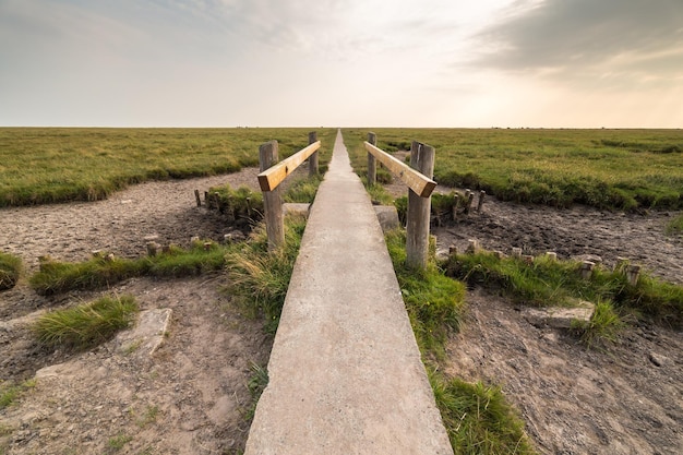 Foto uitzicht op een voetpad in het veld tegen de lucht