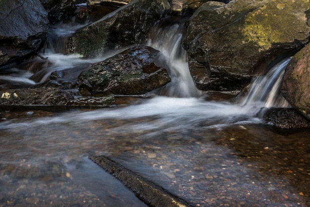 Foto uitzicht op een waterval in het bos