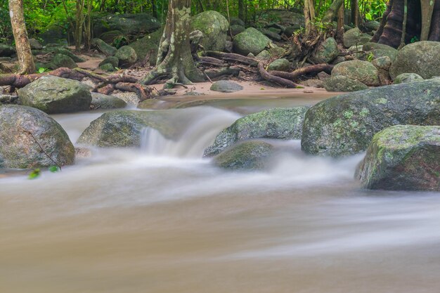 Foto uitzicht op een waterval in het bos