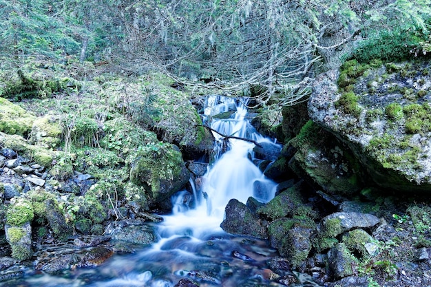 Uitzicht op een waterval in het bos