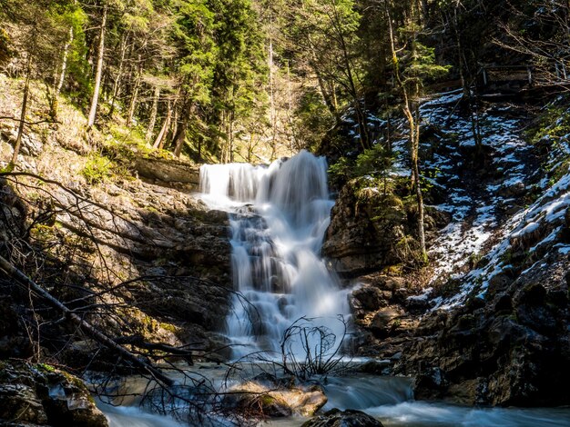 Foto uitzicht op een waterval in het bos