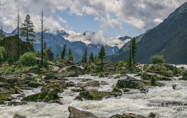 Uitzicht op een wilde bergkloof, een turbulente rivier stroomt tussen de stenen