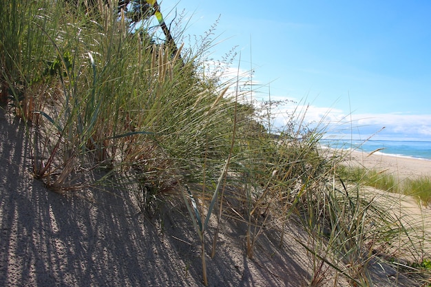 Foto uitzicht op een zandduin met een strook gras, de oostzee