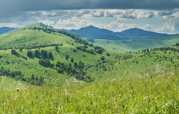 Uitzicht op een zomerdag in de bergen, groene weiden, berghellingen en heuvels