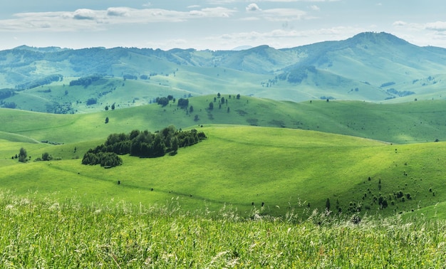 Uitzicht op een zomerdag in de bergen, groene weiden, berghellingen en heuvels