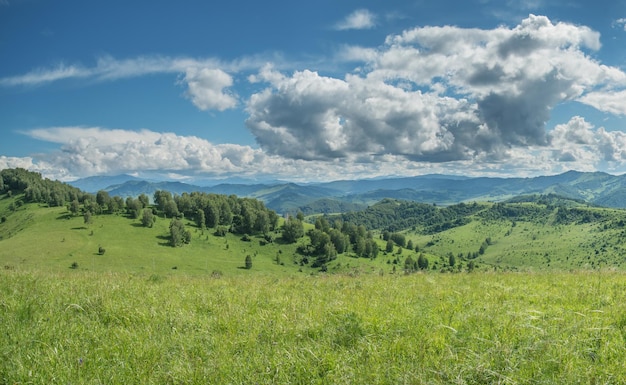 Uitzicht op een zomerdag in de bergen, groene weiden, berghellingen en heuvels