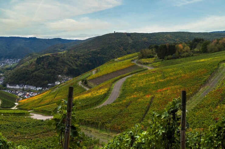 Foto uitzicht op europese pastorale stijl architectuur en natuur van bovenaf