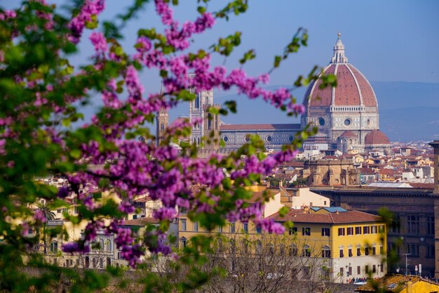 Uitzicht op Florence door de kersentak.tuscany, italië