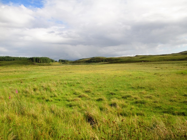 Uitzicht op grasland tegen wolken