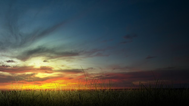 Uitzicht op groen gras op het weideveld