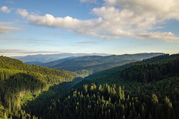 uitzicht op groene bergen en heuvels bedekt met groenblijvende sparrenbos