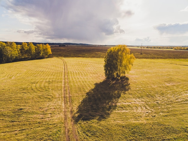 Uitzicht op groene veld en hemel.