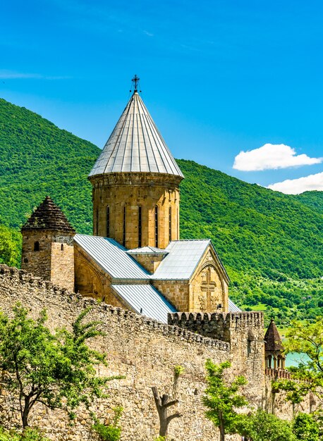 Uitzicht op het Ananuri-kasteel aan de rivier de Aragvi in Georgië