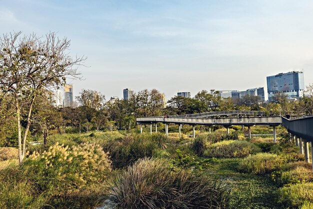 Uitzicht op het Benchakitti-park met meer en wolkenkrabbers in de stad Thailand van Bangkok