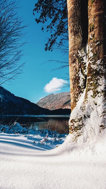 Uitzicht op het bergmeer op het zonnige verticale frame van de winterdag