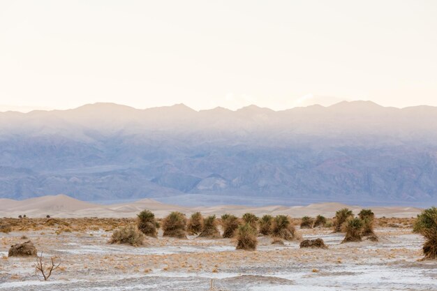 Uitzicht op het Death Valley National park in de winter.