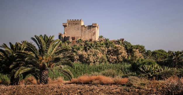 Uitzicht op het Falconara-kasteel op Sicilië met de toren die uit de omringende vegetatie oprijst