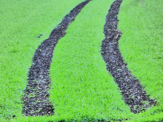 Foto uitzicht op het grasveld