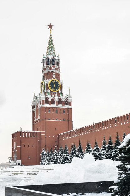 Uitzicht op het Kremlin van Moskou