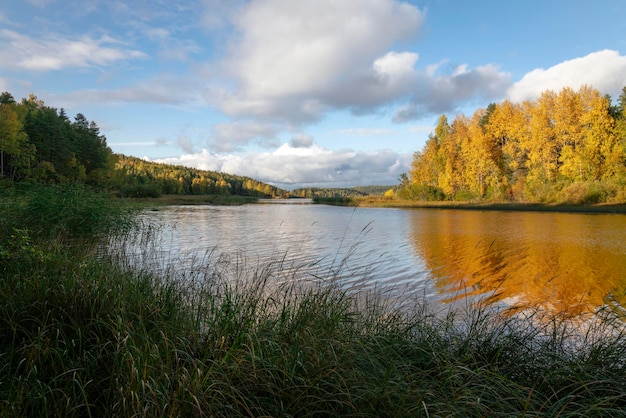 Uitzicht op het Ladogameer bij het dorp Lumivaara op een zonnige herfstdag Ladoga scheren Republiek Karelië Rusland