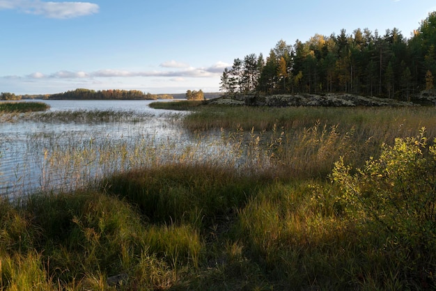 Uitzicht op het Ladogameer bij het dorp Lumivaara op een zonnige herfstdag Ladoga scheren Republiek Karelië Rusland