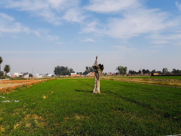 Uitzicht op het landelijk landschap