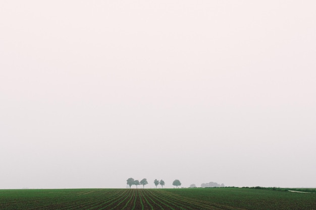 Foto uitzicht op het landschap tegen een heldere lucht