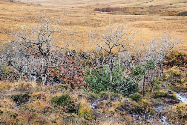 Uitzicht op het landschap