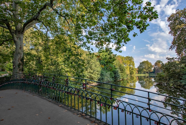 uitzicht op het meer en heldere bomen in het park