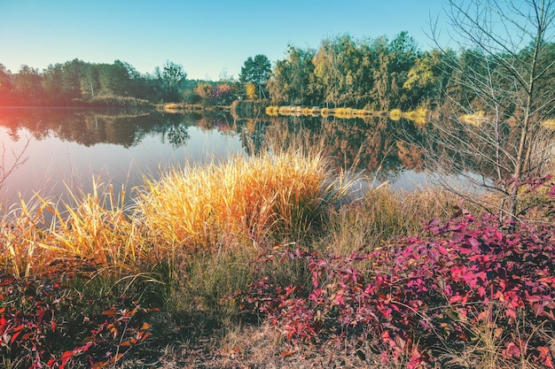 Uitzicht op het meer op een zonnige herfstdag