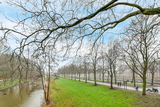 Uitzicht op het park met bomen