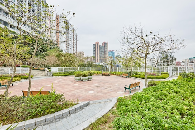 Uitzicht op het park met gebouwen op de achtergrond