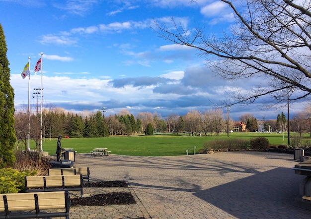 Foto uitzicht op het park