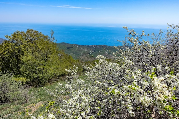 Uitzicht op het plateau van de Krim-bergen en de Zwarte Zee vanaf de top van de Demerdzhi, Rusland