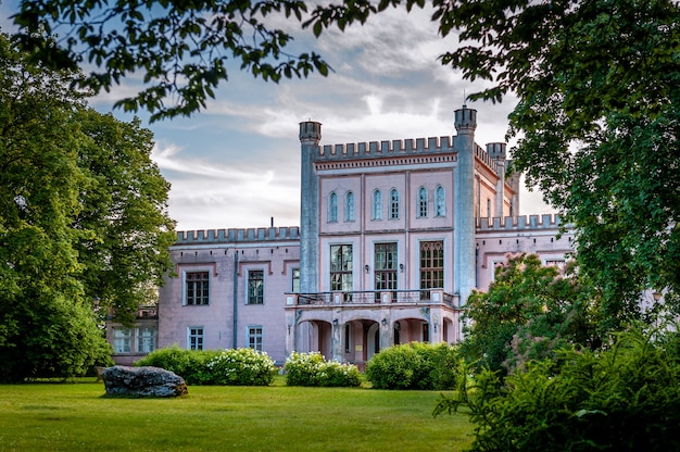 Uitzicht op het roze kasteel door het park.