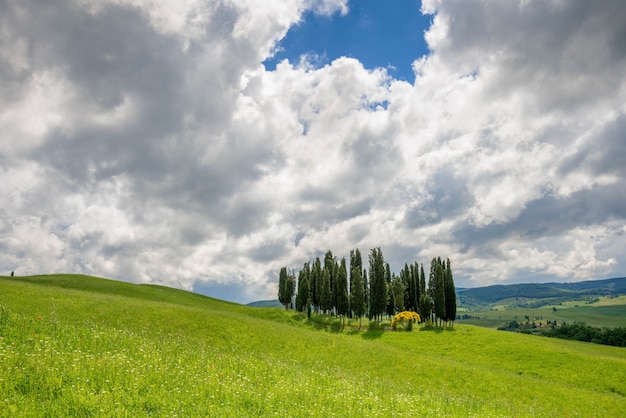 Uitzicht op het schilderachtige Toscaanse platteland