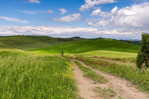 Uitzicht op het schilderachtige Toscaanse platteland