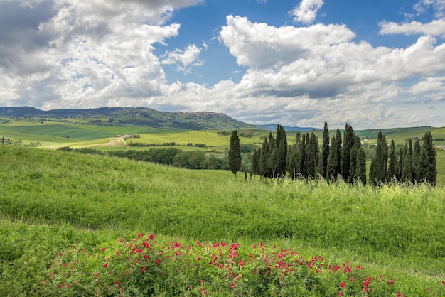 Uitzicht op het schilderachtige toscaanse platteland