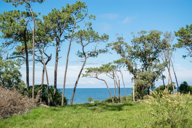 Uitzicht op het strand in Canelones, Uruguay