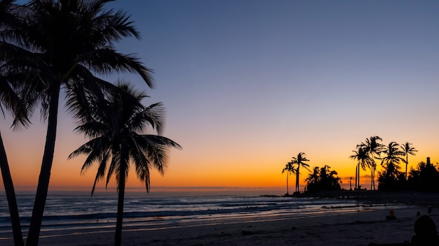 Uitzicht op het strand met zonsondergang en palmbomen