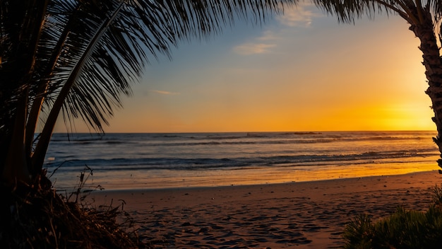 Uitzicht op het strand met zonsondergang en palmbomen