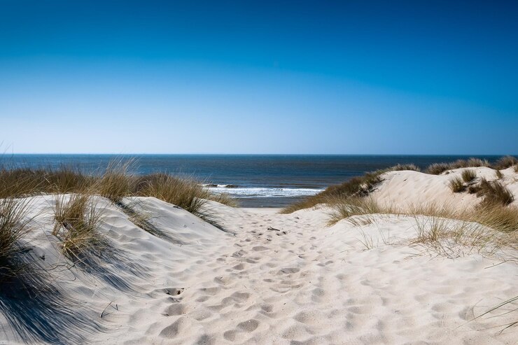 Foto uitzicht op het strand tegen een heldere blauwe hemel