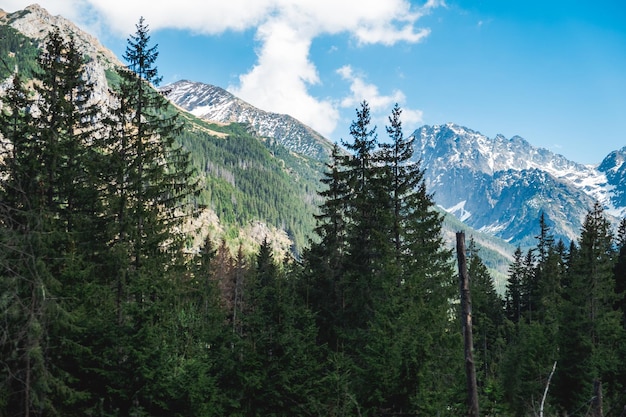 Uitzicht op het Tatra-gebergte