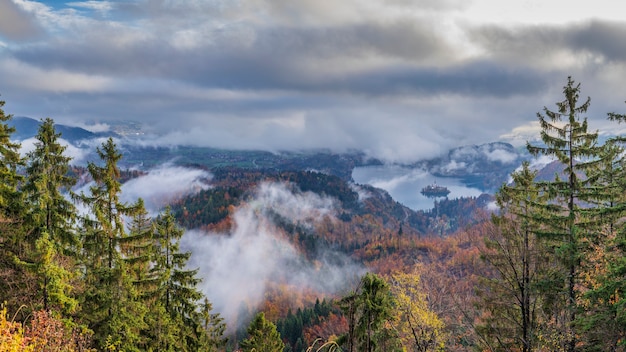 Uitzicht op het verbazingwekkende meer van Bled begrensd door prachtige bossen Slovenië