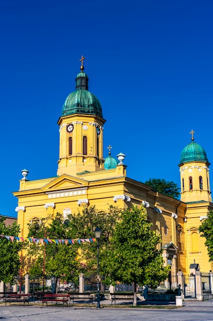 Uitzicht op Holy Trinity Church in Negotin, Oost-Servië